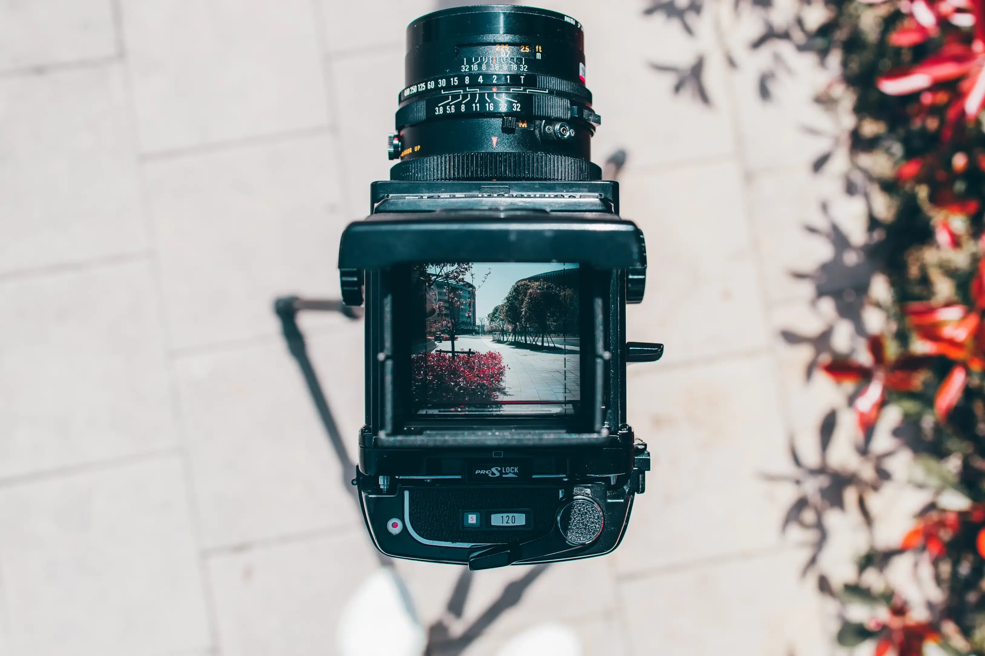 Spring in Focusing Screen, photograph 1 of 5