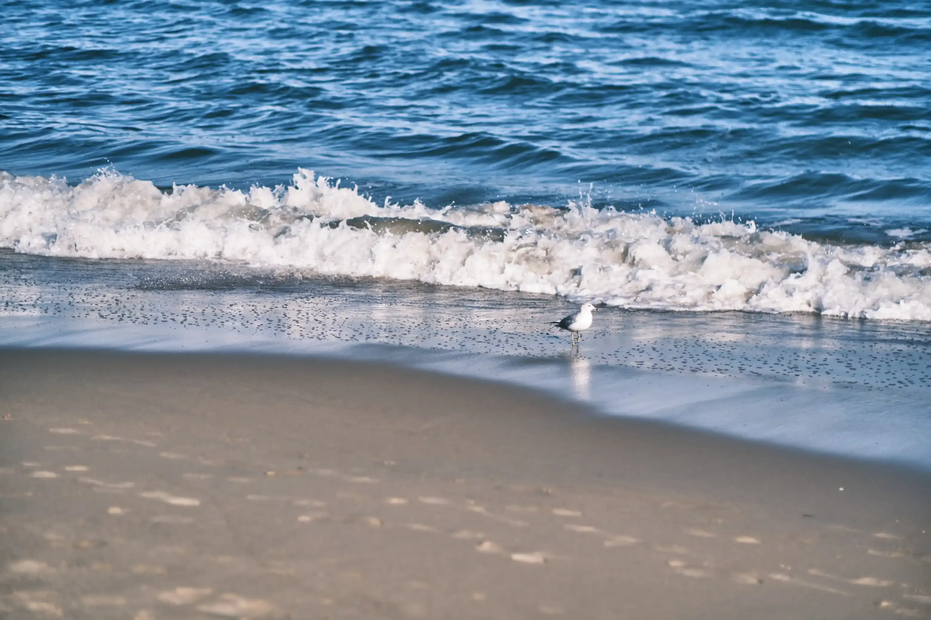 Embracing the Sea Again, photograph 3 of 8