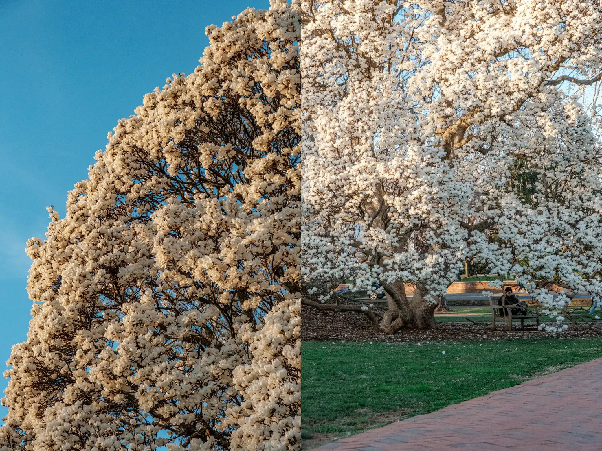 My Favorite Color, photograph 5 of 10