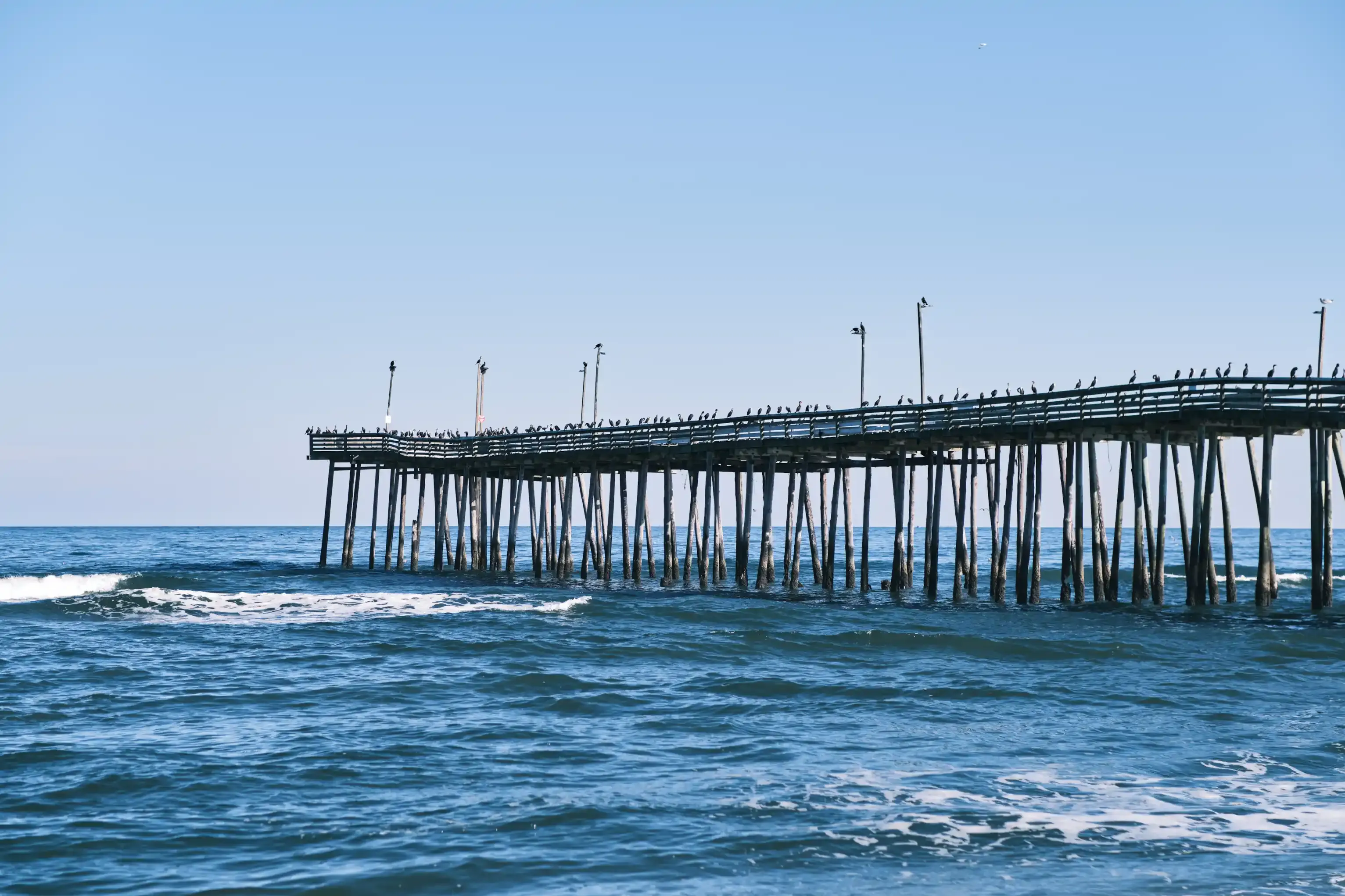 Embracing the Sea Again, photograph 8 of 8